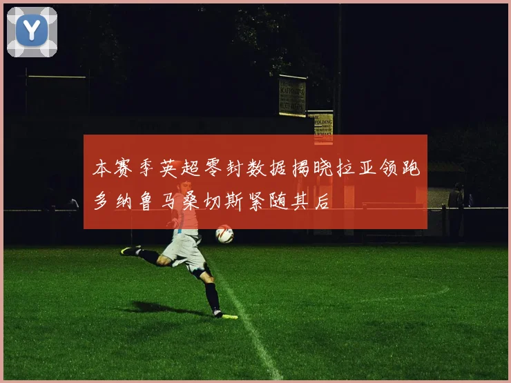 本赛季英超零封数据揭晓拉亚领跑多纳鲁马桑切斯紧随其后