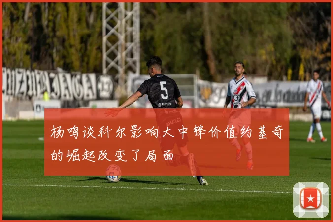 杨鸣谈科尔影响大中锋价值约基奇的崛起改变了局面
