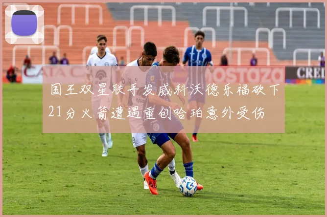 国王双星联手发威科沃德乐福砍下21分火箭遭遇重创哈珀意外受伤